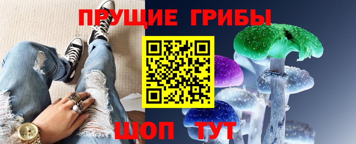 где найти   Вход с VPN  Жигулёвск  Псилоцибиновые грибы GOLDEN TEACHER 